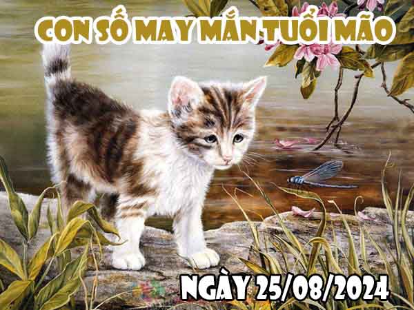 Nhận định con số may mắn tuổi Mão ngày 25/8/2024 chủ nhật hôm nay