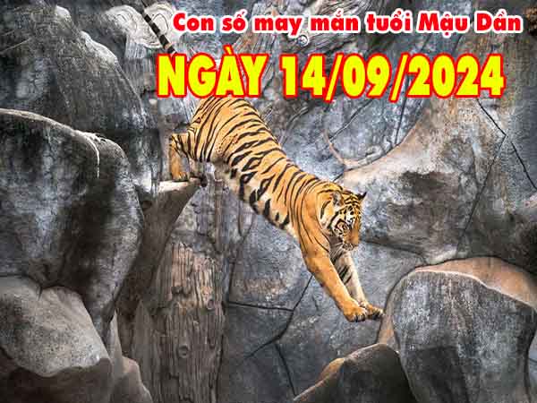 Nhận định con số may mắn tuổi Mậu Dần ngày 14/9/2024 thứ 7 hôm nay